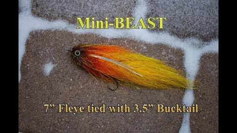 Video thumb for Mini-Beast