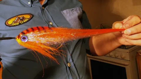 Video thumb for Giant predator streamer