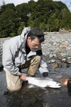 User submitted picture: Nice 12 lb steelhead fres...