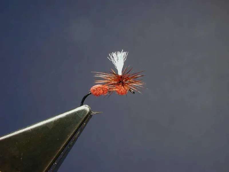 10 - Finish the fly - Pull the hackle down, and make three to four thread wraps around the post to tie off the hackle. Try not to trap too many barbs, so keep your thread wraps below the lowest barbs. Clip the hackle.
You could make a whip finish around the parachute post, but on a small hook like this #17 this is fiddly - to me anyway. That's why I use a reversed whip finish (making turns towards me) behind the eye. This prevents the thread being pulled under the dubbed head.
Clip off the post to desired length. Put a tiny drop of CA glue on the whip finish, on the post where the parachute hackle starts, and on the tie-off point of the hackle, and you're done!
