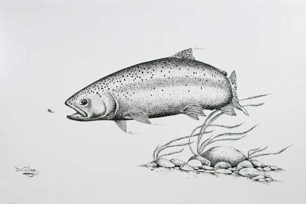 User submitted picture: This is a pen & ink rende...